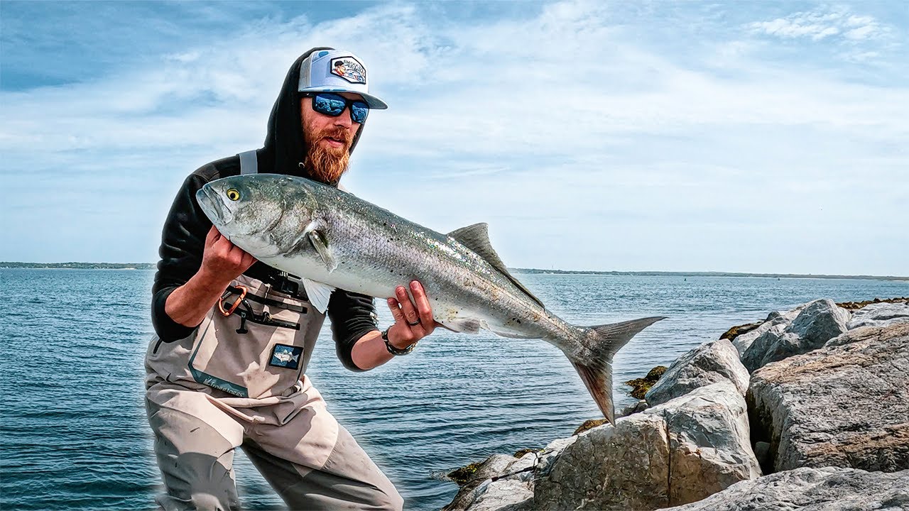 Targeting THE ULTIMATE Fighting Fish!! *MONSTER BLUEFISH*