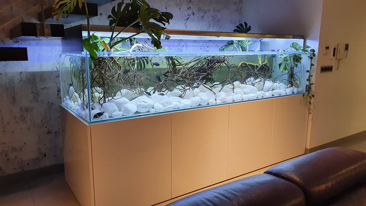 Acuario Tropheus 1700L