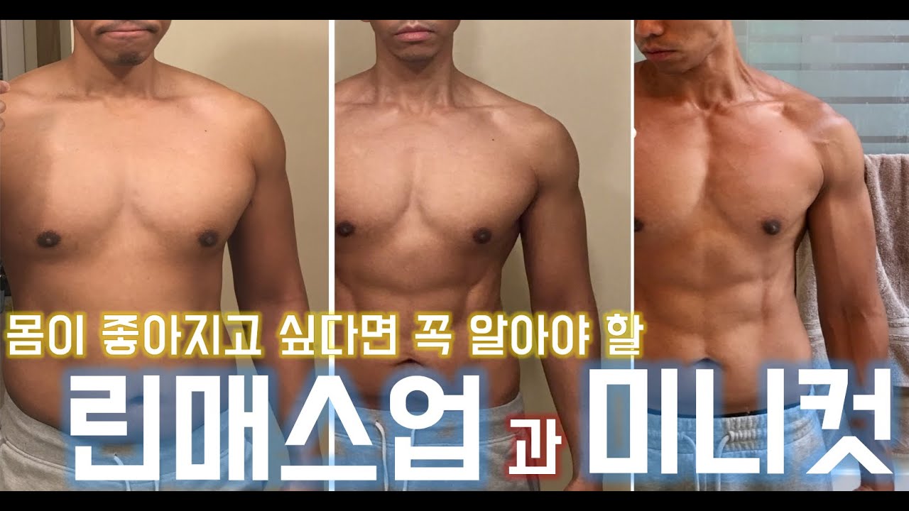 비시즌시 근육키우는 최고의 방법: 린매스업 + 미니컷