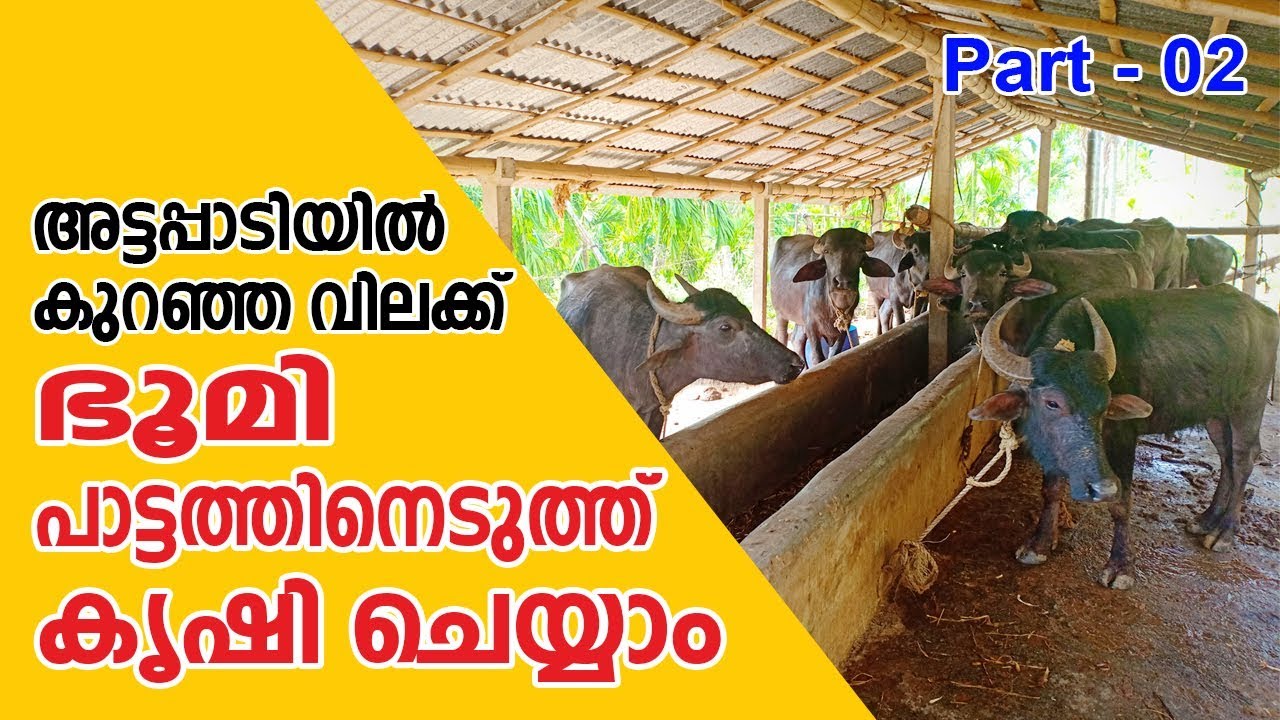 Attappady ഭൂമി പാട്ടത്തിനെടുത്തു കൃഷി ചെയ്യാം