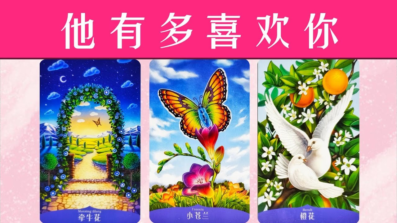 他有多喜歡你？對你的感情愛意有幾分？他想跟你成為什麼樣的關係！|曖昧|愛情|戀愛|桃花|塔羅占卜|