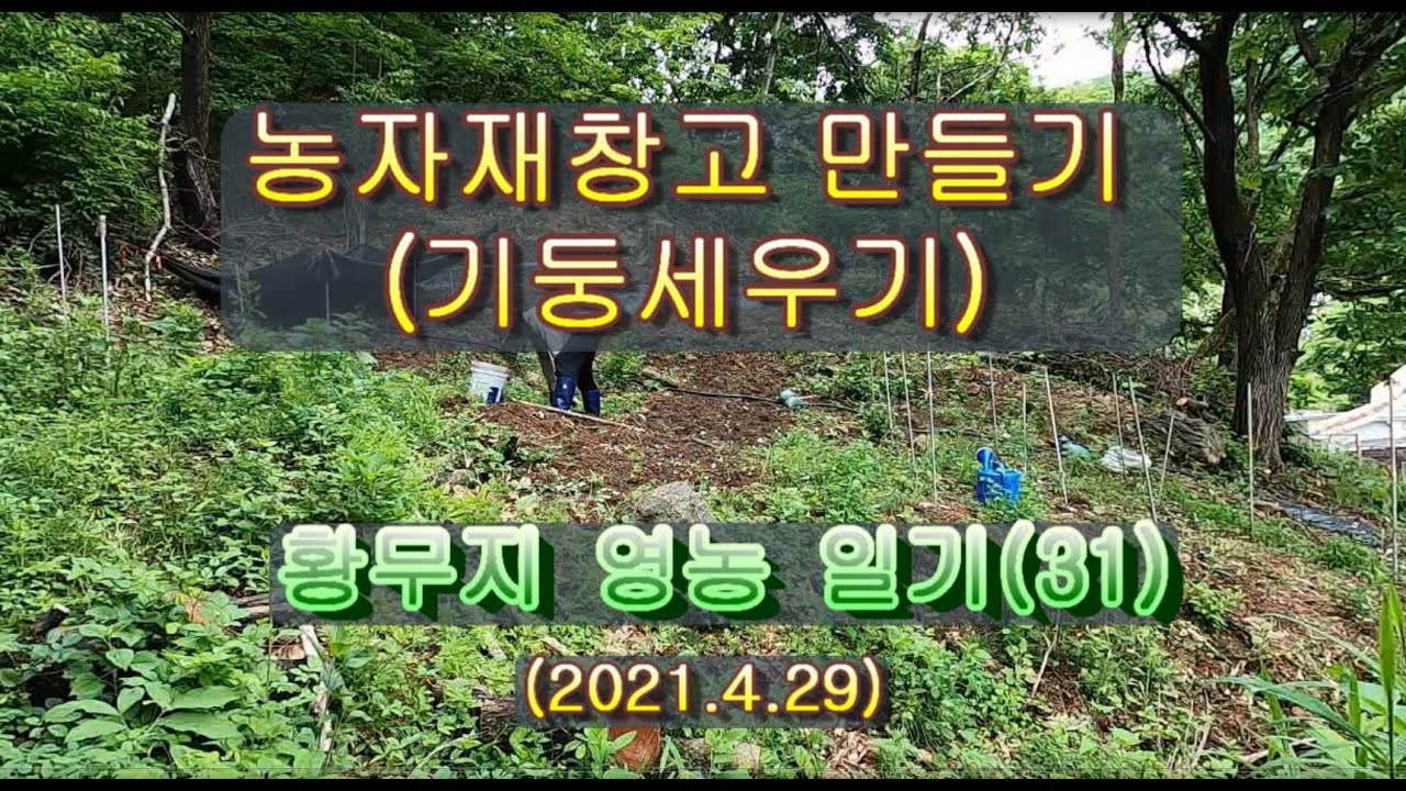 농자재 창고 만들기(기둥세우기), 황무지 영농 일기 31일차