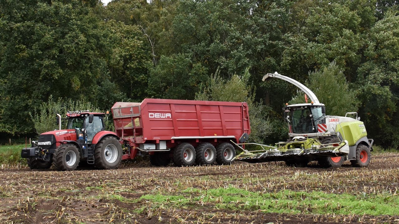 Claas Jaguar 960 + Case IH Puma 200 & DEWA 50m³ - Sprangers NV   mais hakselen