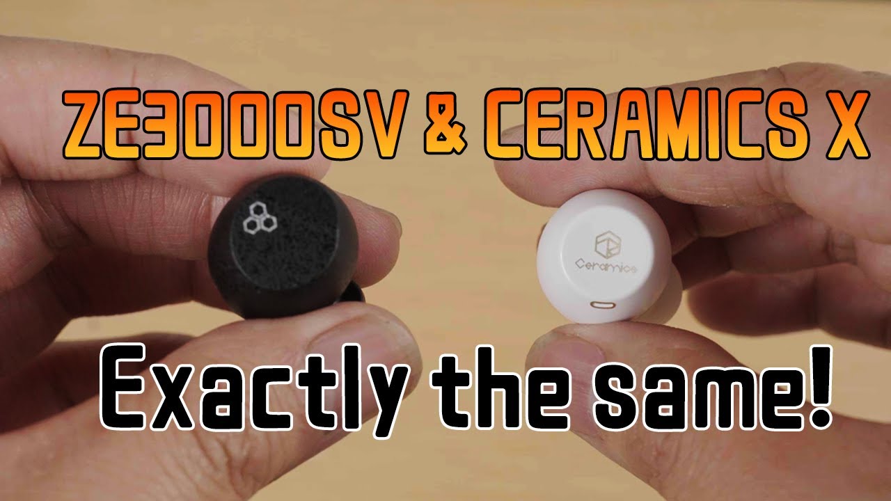 Final ZE3000SV & ROSESELSA CERAMICS X: Same earbuds?