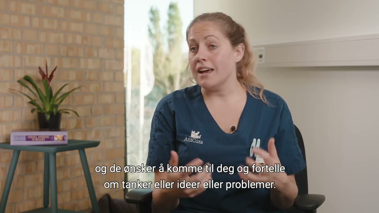 Hva gj&oslash;r en tillitsvalgt?