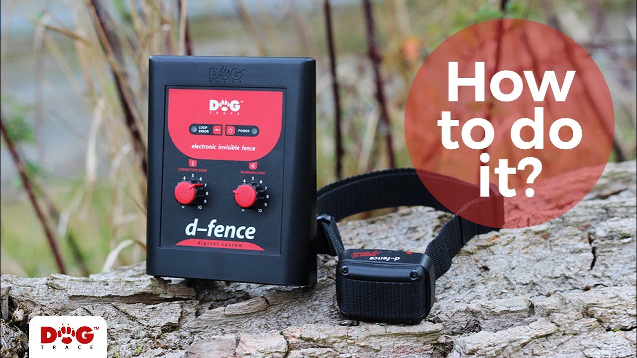 d-fence 1001/101 EN | Dogtrace