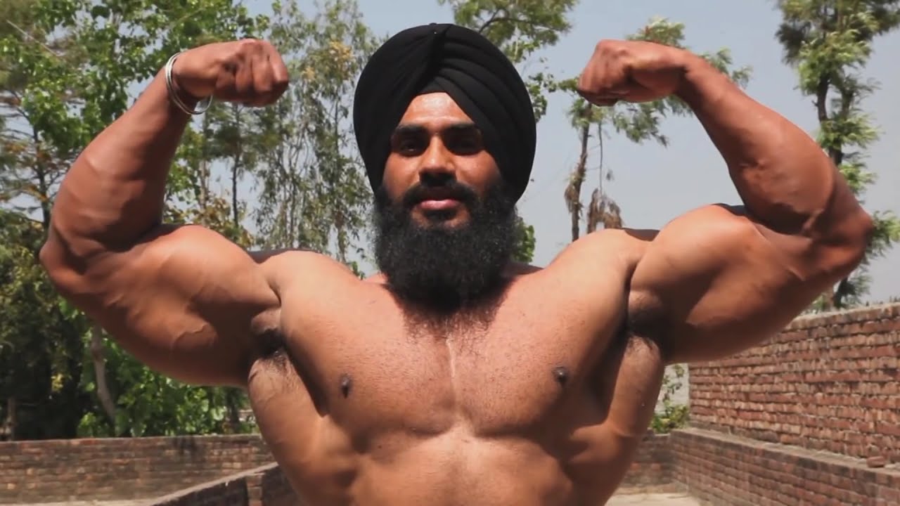 Navtej Singh - Lion of the Punjab