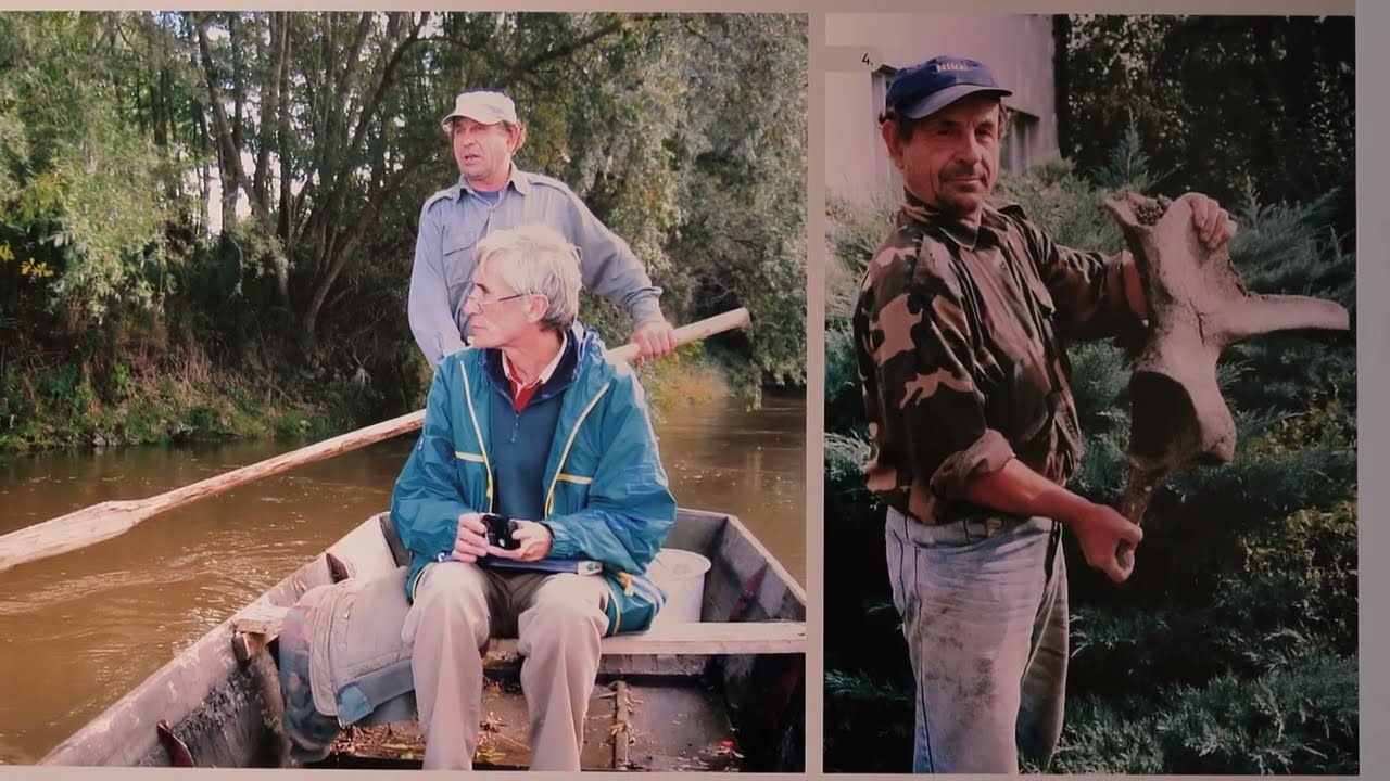Vunasti mamuti - divovi ledenog doba