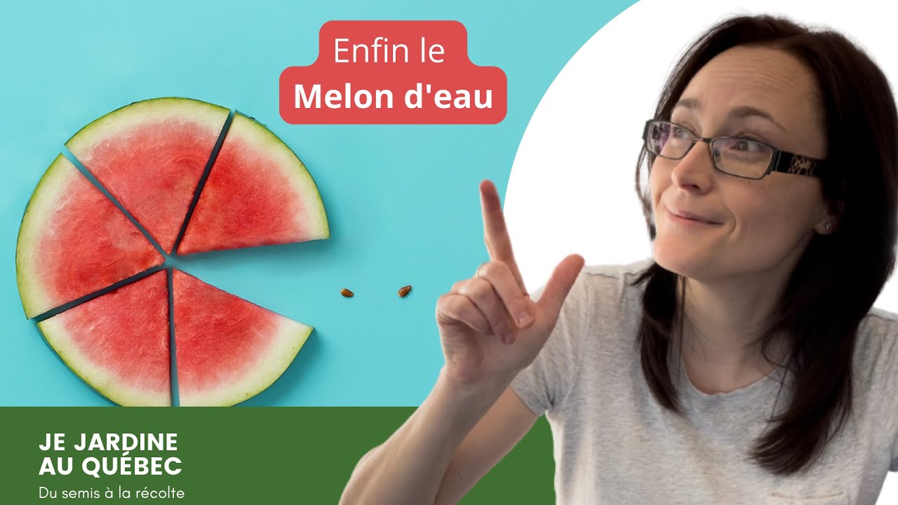 Semis de melons d’eau et de courges