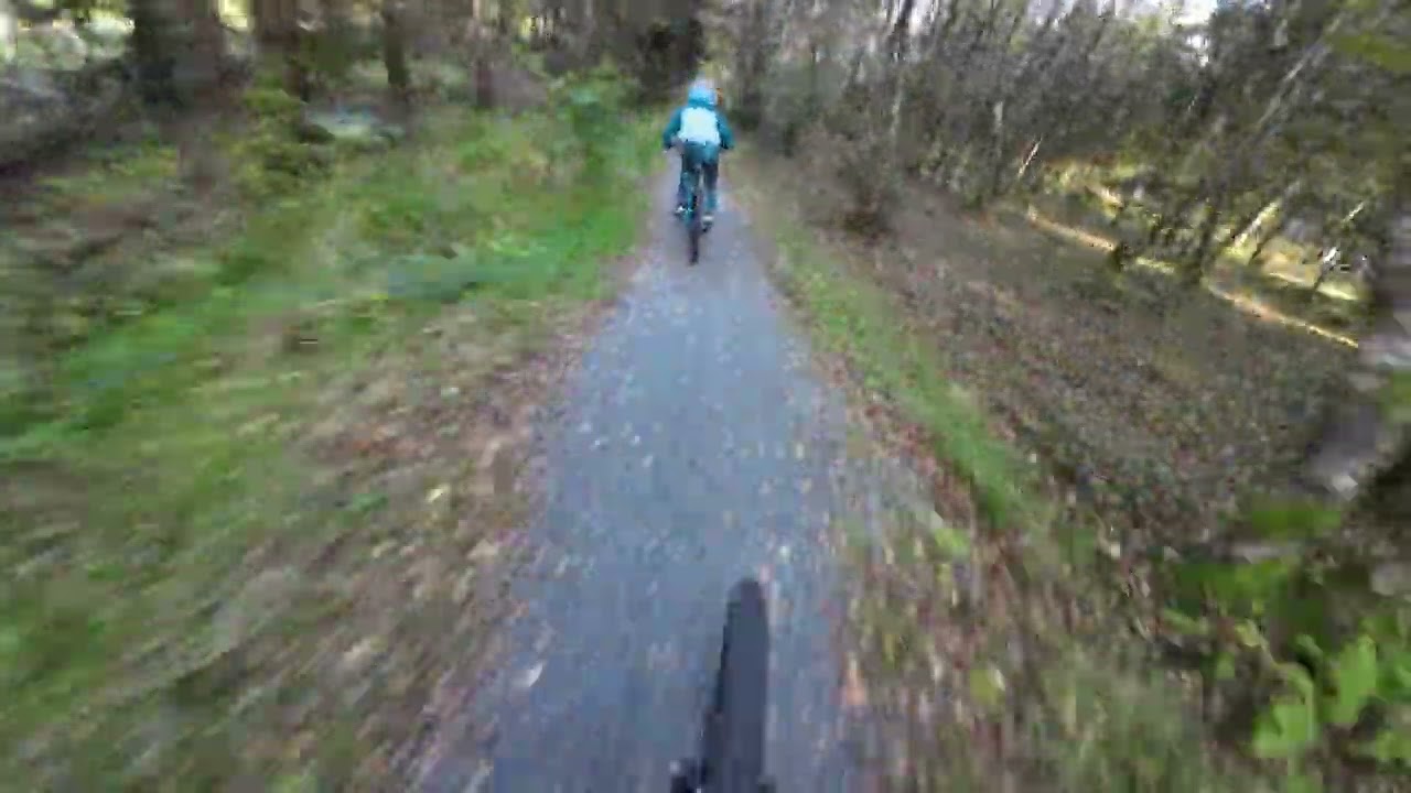 Holstebro Bikepark