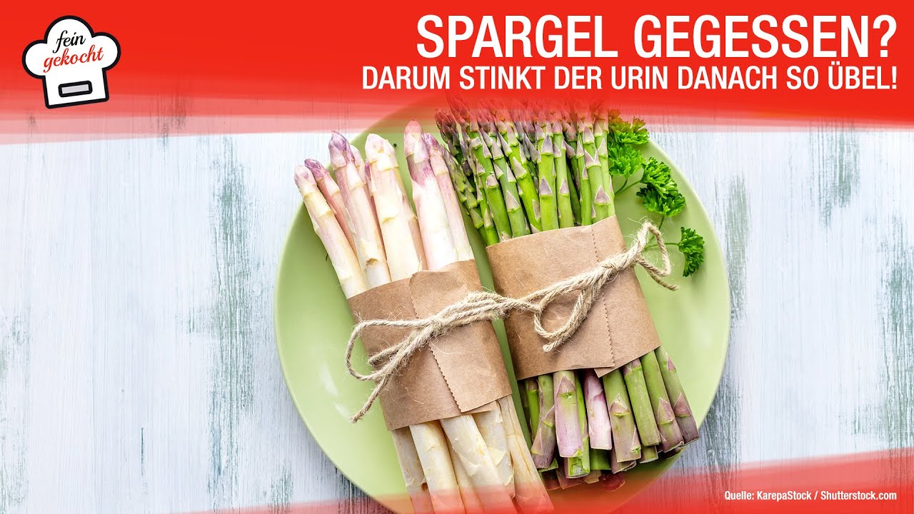 Spargel gegessen? Darum kann danach der Urin stinken