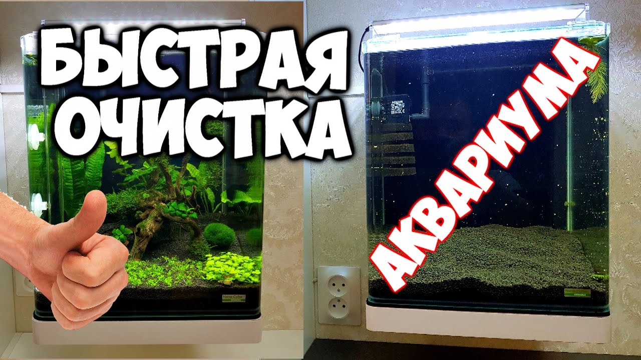 Как быстро очистить воду в аквариуме от взвеси . Как выловить всех креветок из аквариума .
