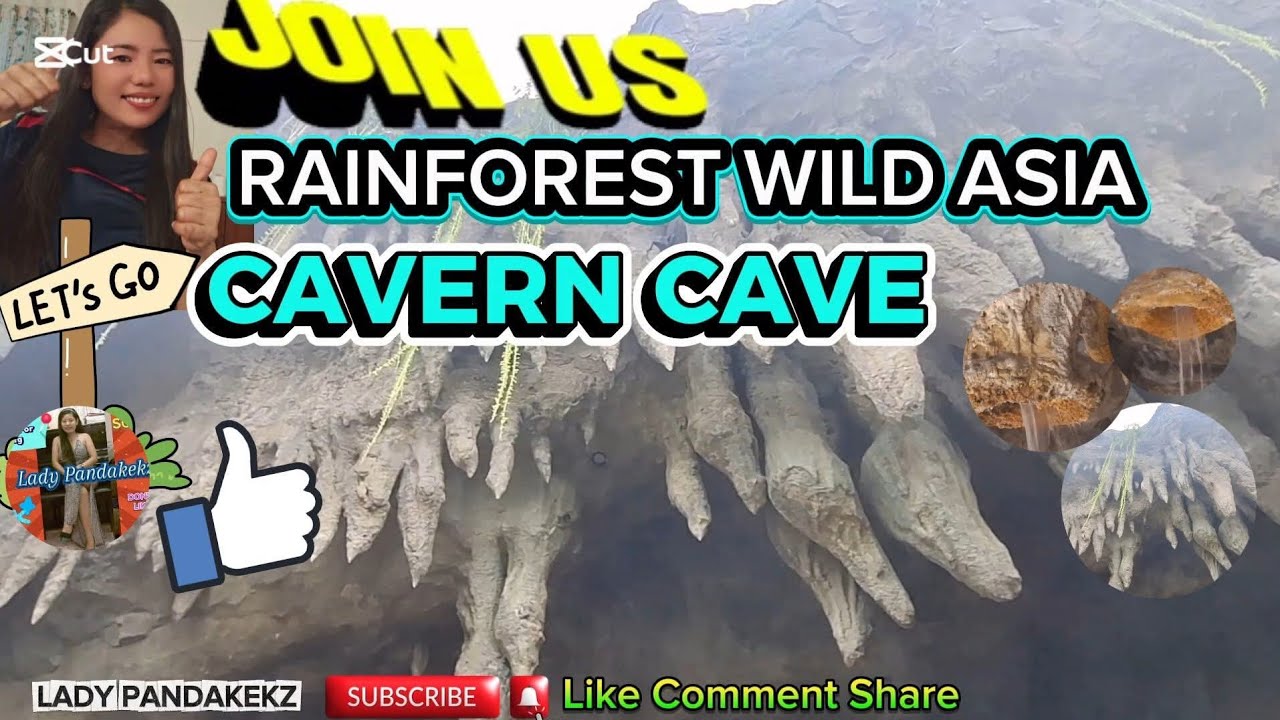 RAINFOREST WILD ASIA | THE CAVERN CAVE | @LADYPANDAKEKZ1205 #subscribe #video #amazing 