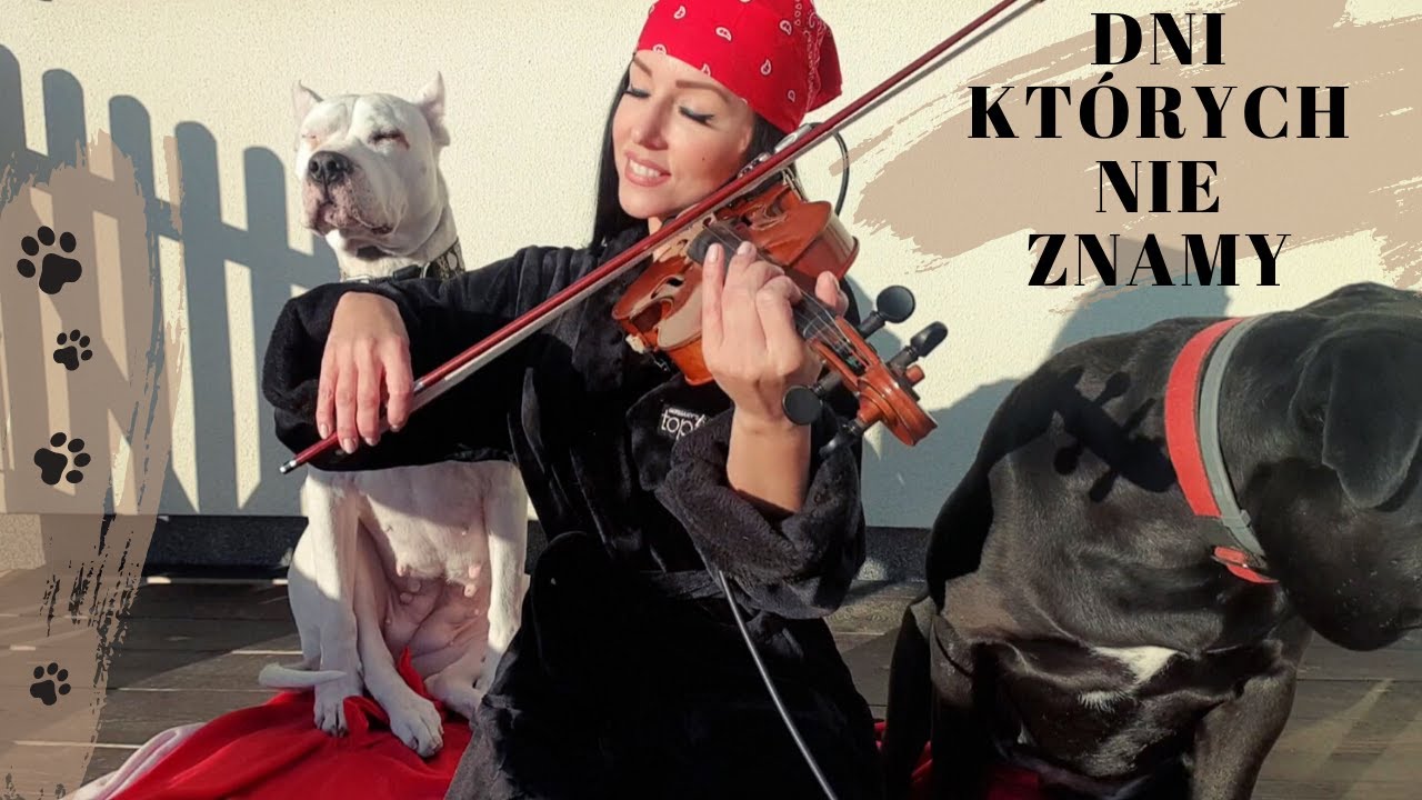 DNI KTÓRYCH NIE ZNAMY - M.GRECHUTA / skrzypce, Agnieszka Flis