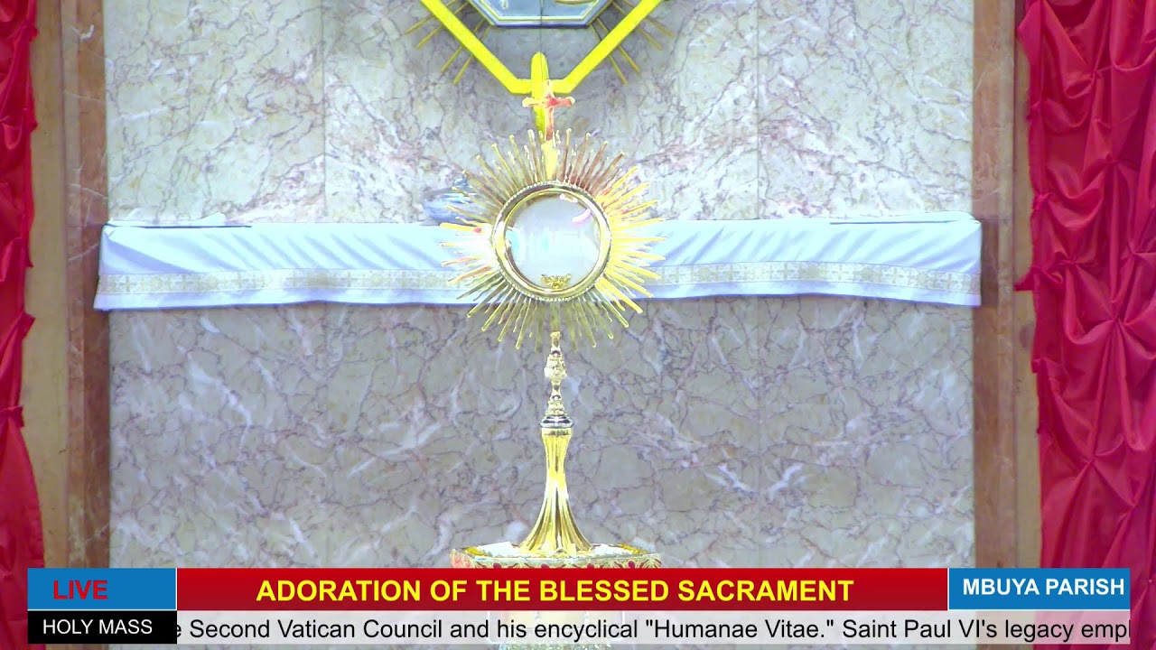 Catholic Mass Today || Daily Mass - Thursday 29th May 2025 || Daily Mass Online