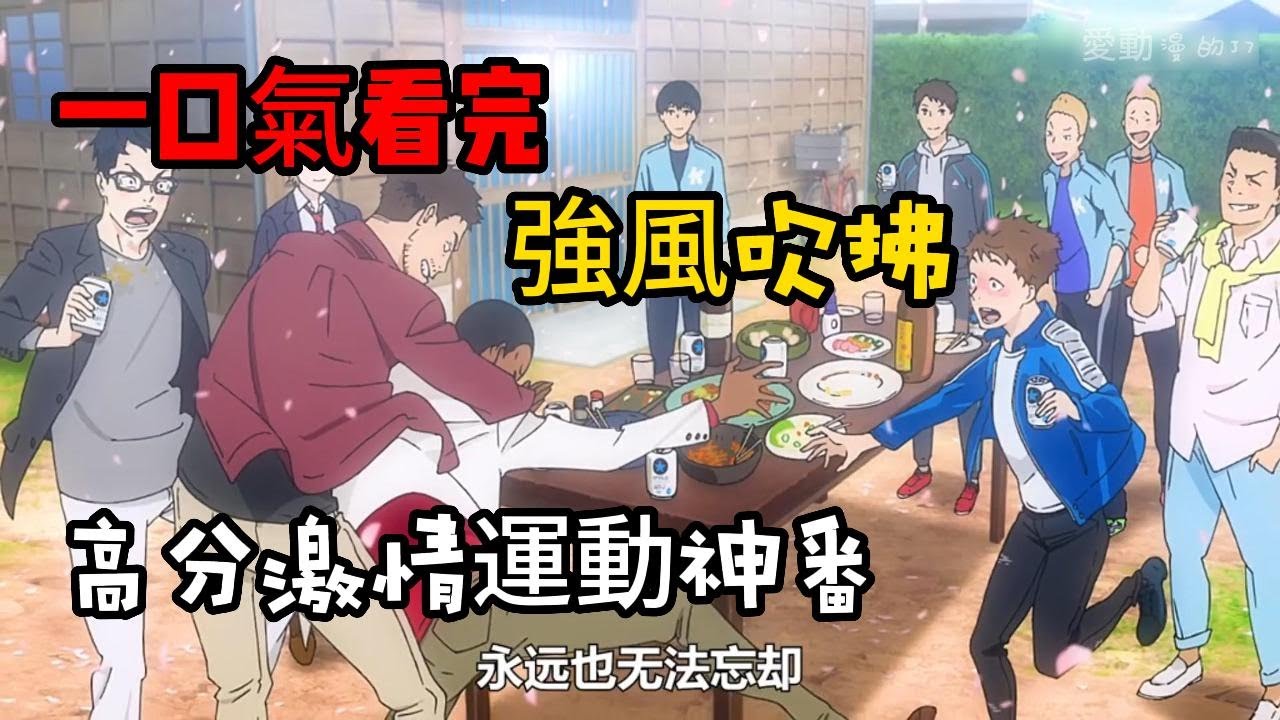 一口氣看完《強風吹拂》，你必須要看的冷門動漫，史上評分最高的運動番之一，內容質量過於硬核，跑步如此冷門題材也能這麼激情，我願稱你史上最強運動番之一