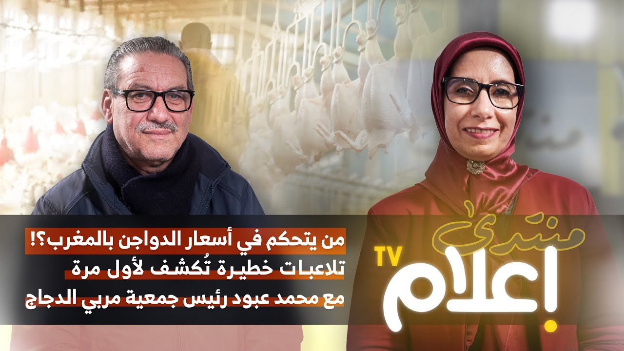 من يتحكم في أسعار الدواجن بالمغرب؟! تلاعبات خطيرة تُكشف لأول مرة مع محمد عبود رئيس جمعية مربي الدجاج