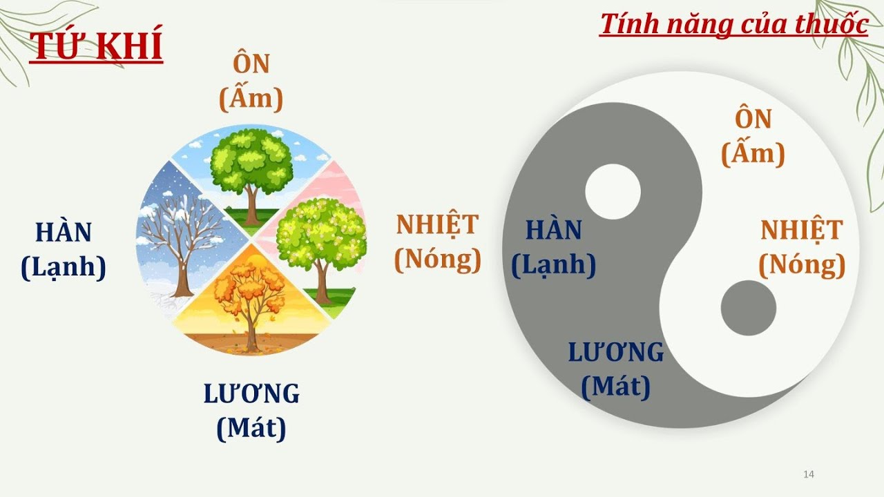 B&Agrave;I THUỐC CỔ PHƯƠNG   Đại cương b&agrave;i thuốc YHCT