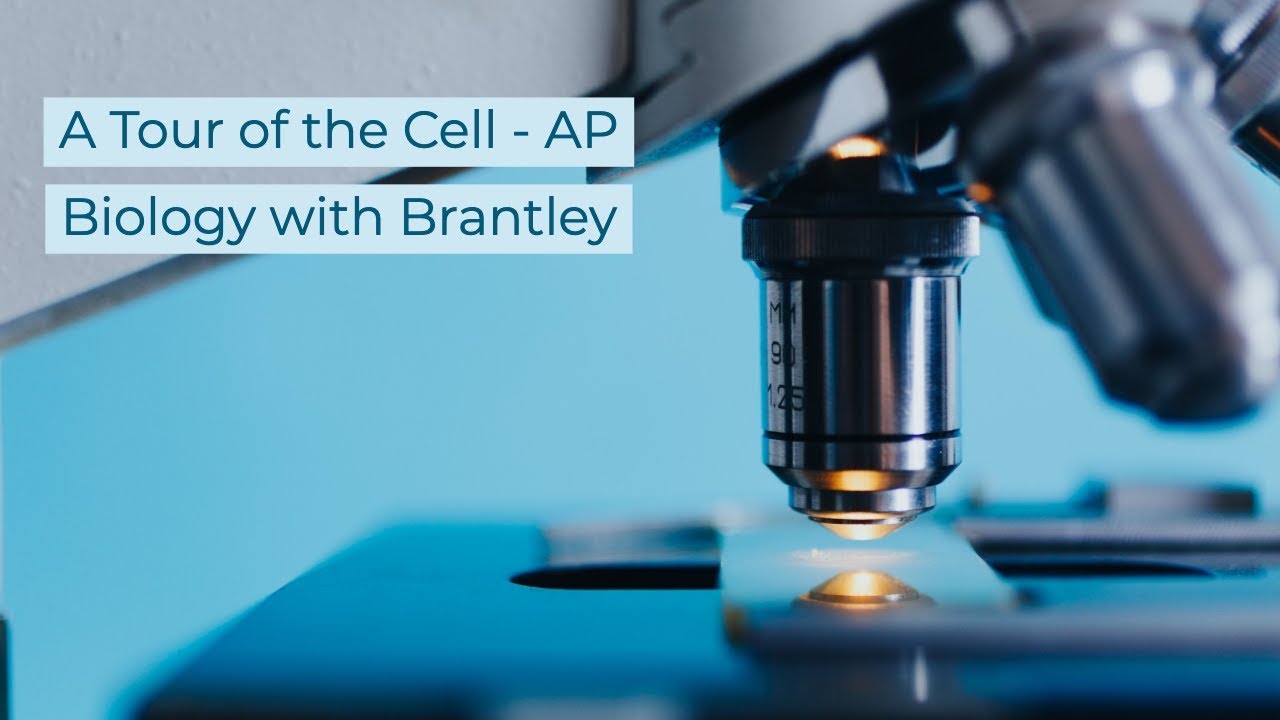 A Tour of the Cell Lecture (Ch. 4) - AP Biology with Brantley