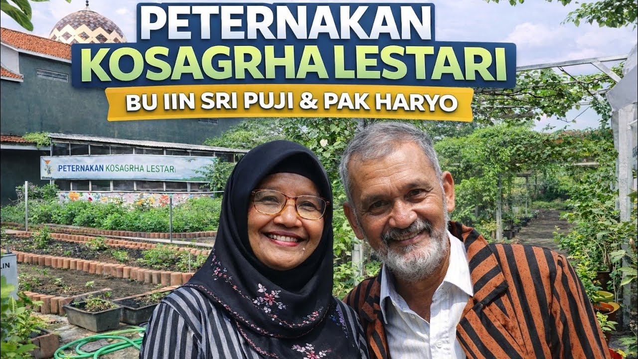 Peternakan Kosagrha lestari