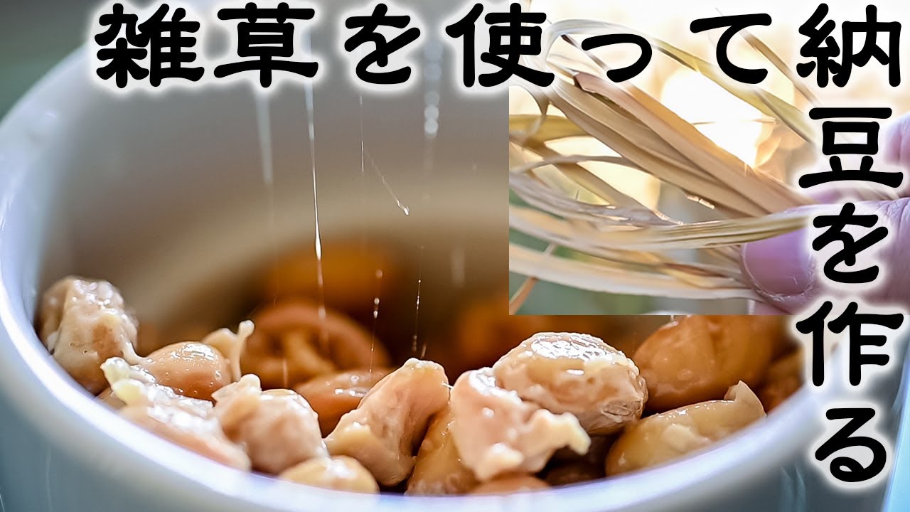 藁の代わりに雑草で納豆を作る | Natto made from soybeans without another Natto.