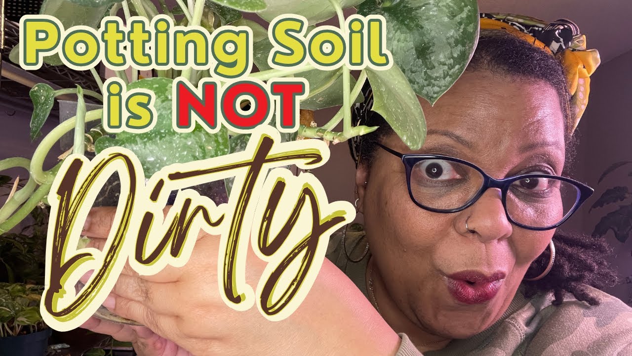 Potting Soil Is Not Dirty - All Soil Is Not Created Equal