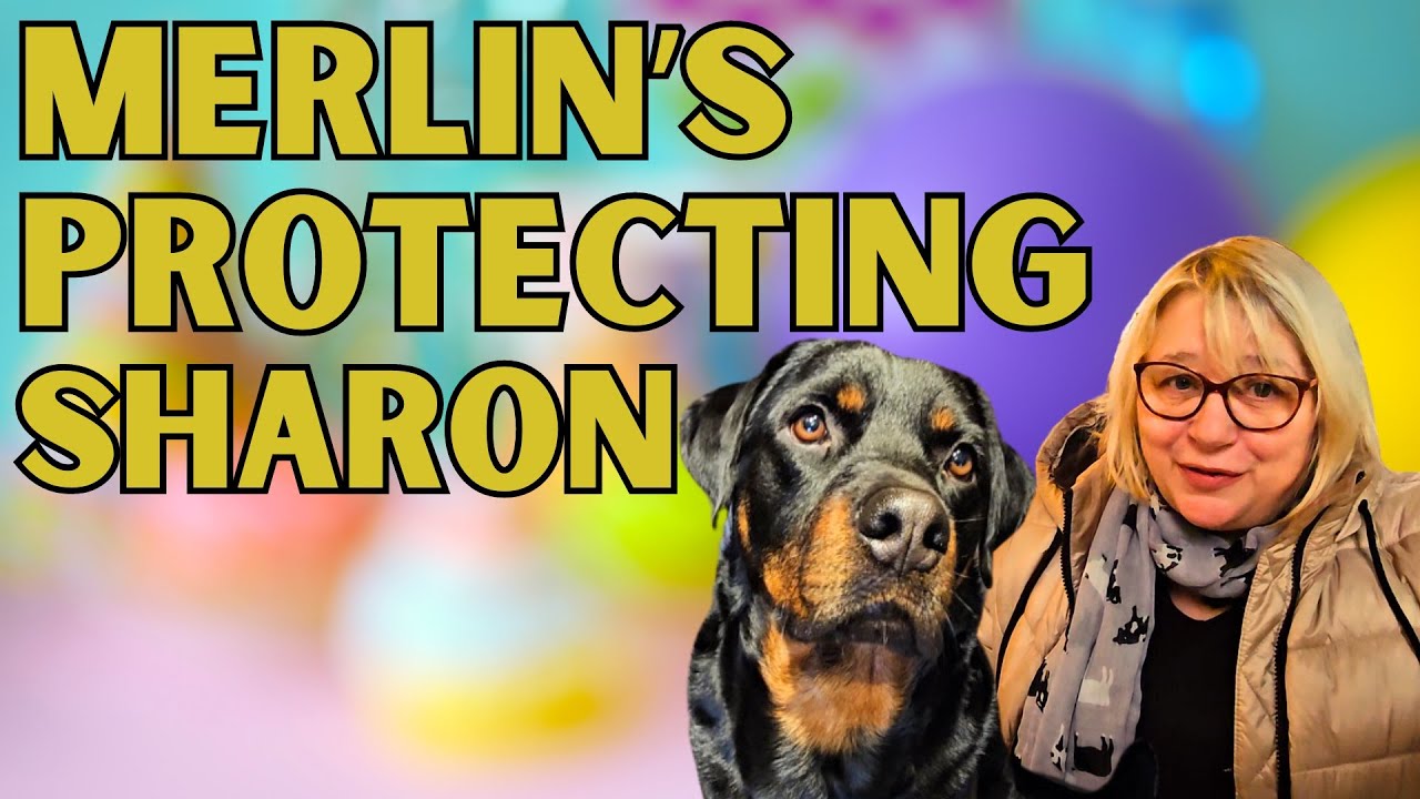 Merlin The Protector - Sharon's Not Well Today