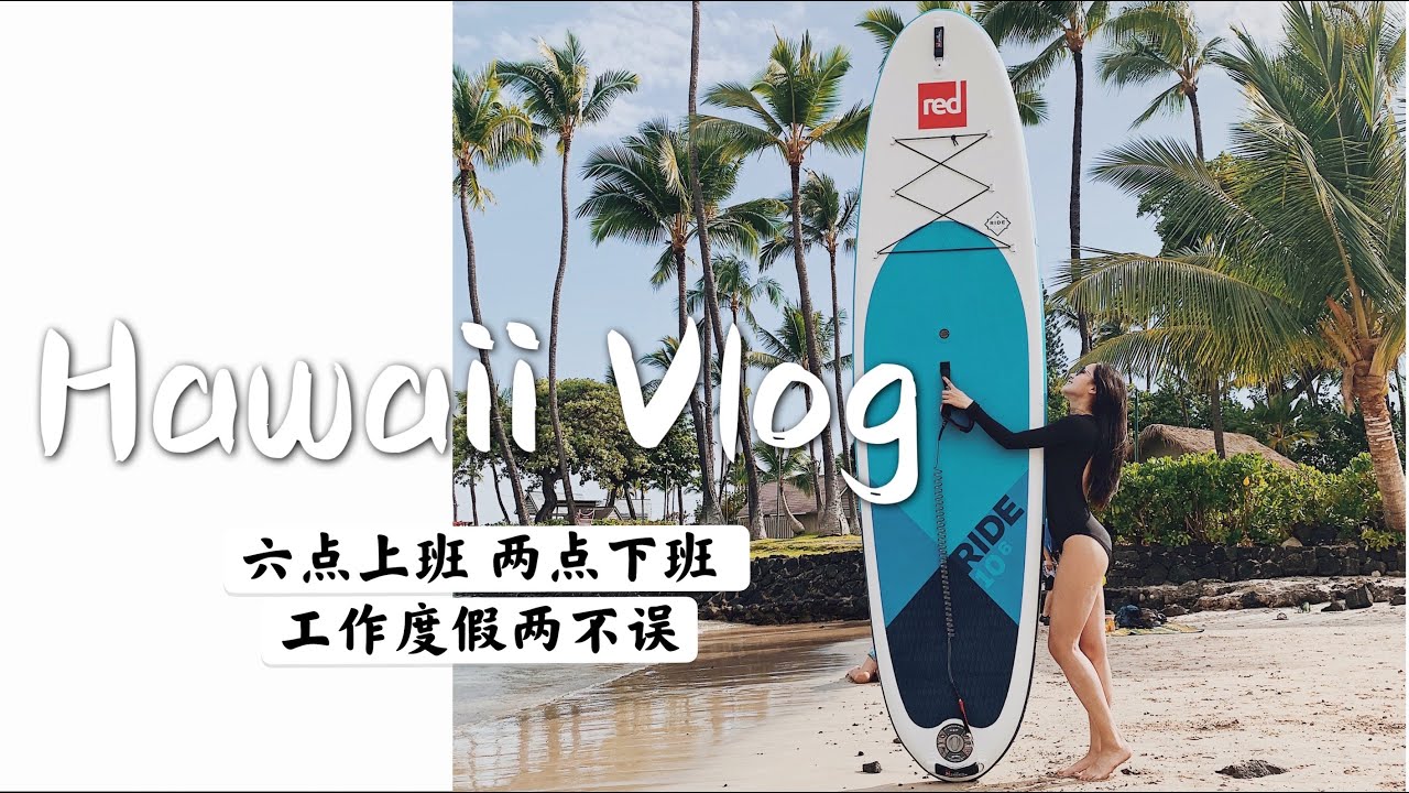 夏威夷大岛旅行攻略：跳崖｜自驾游｜国王谷｜美食分享｜Hawaii Travel VLOG