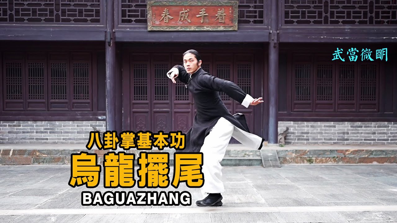 烏龍擺尾  八卦掌基本功  Tai chi Tutorial