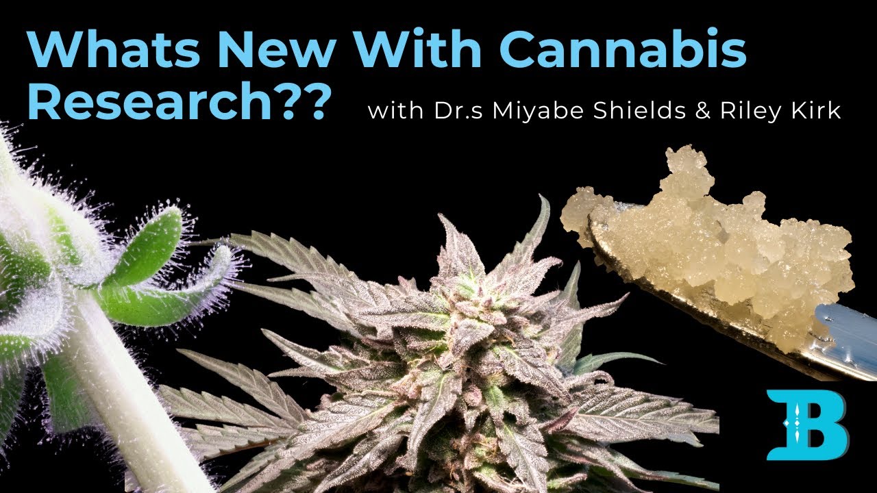 NAPTIME Bioactive Podcast: Exploring Cannabis Science and Community