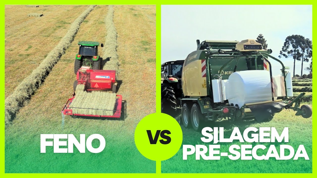 Feno ou Silagem Pré-secada? Quais as Diferenças? Entenda as VANTAGENS e DESVANTAGENS de Cada Ep#193