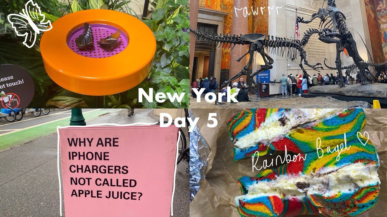 New York Day 5 | American Museum of Natural History🦋🦖