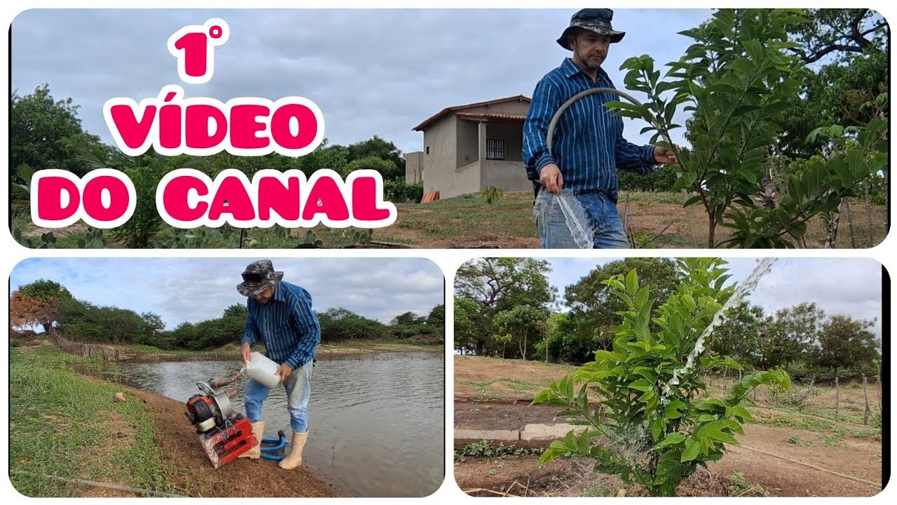 Irrigação do Açude com Motor-Bomba 2T
