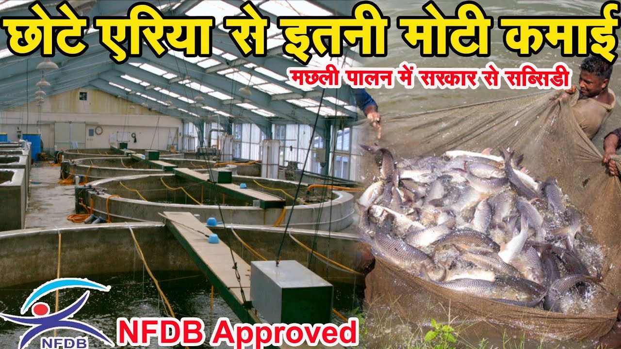 10 वर्षो से Fish farming || मछली पालन के साथ NFDB Approved Fish Hatchery || High quality Fish seed