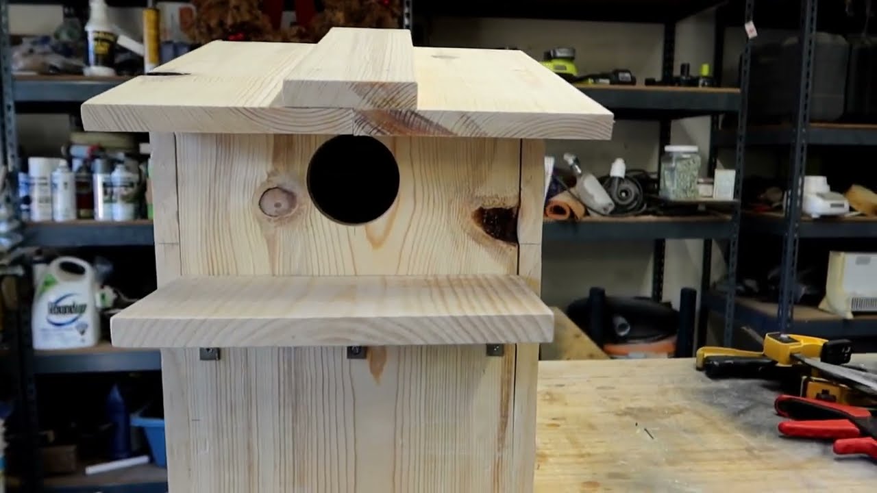 Building A Squirrel House For My Backyard