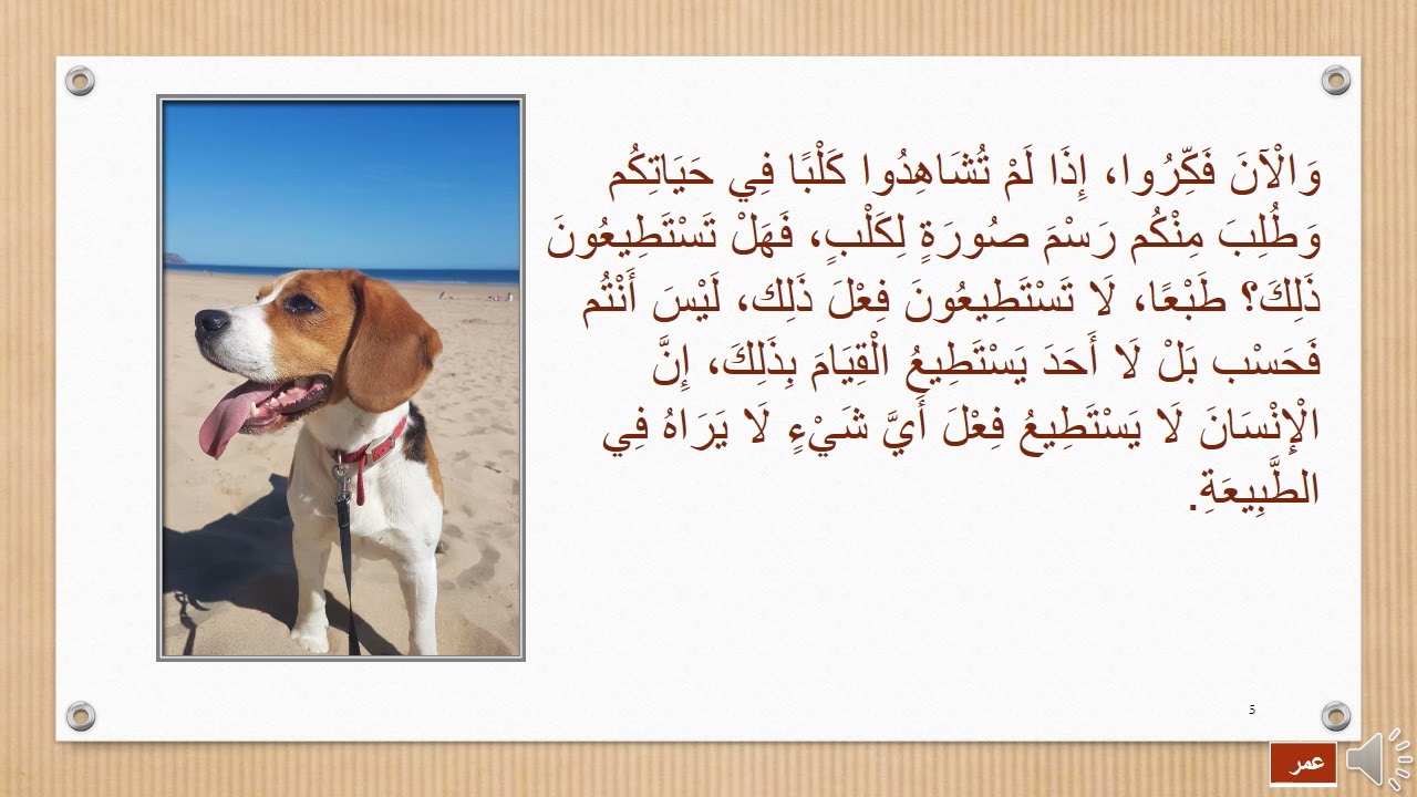 الكلاب أصدقاؤنا المخلصون🐕🍖 ورشة القراءة الثالثة في مكتبة بيتنا #ورشة_قراءة @مكتبةبيتنا