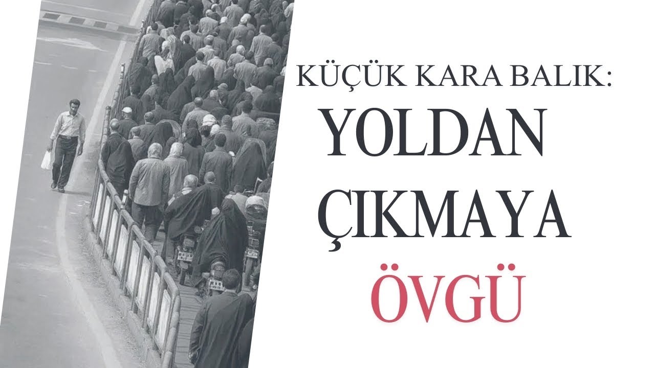 Küçük Kara Balık Çocuklar İçin Uygun mu? #masal #Samedbehrengi #kitapönerisi #küçükkarabalık