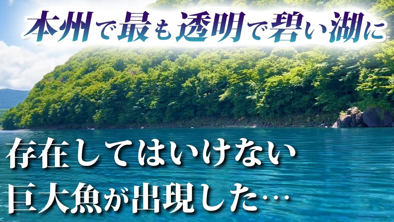 まさかの巨大外来魚が出現した湖を調査／HartDesign(ハートデザイン)【Vol.428】