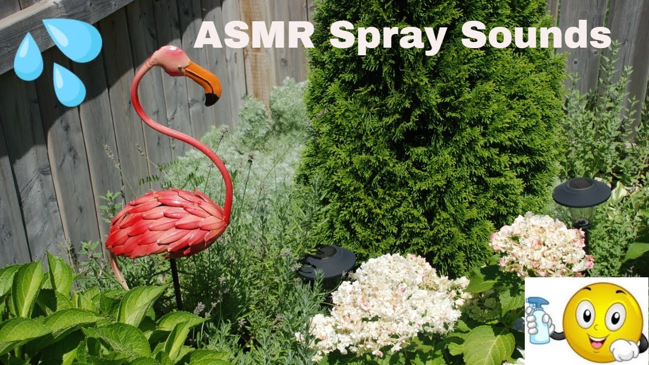 🎧 ASMR 💦 Spray Bottle Sounds In My Backyard - No Talking For Sleep 😴