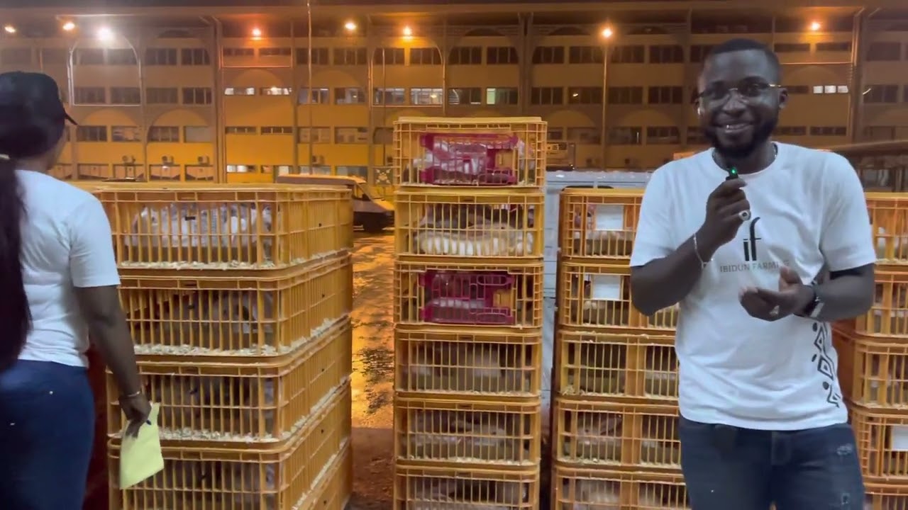 🚨Nouvel importation Côte d’Ivoire 🇨🇮 : la capitale africaine de la gamme optima.