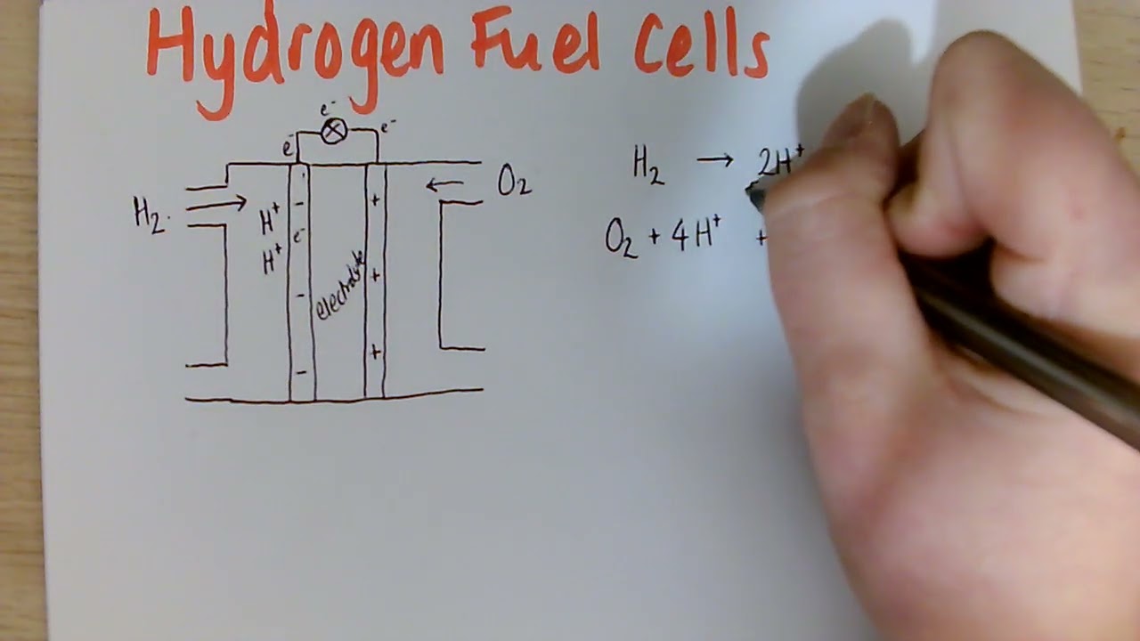 Hydrogen Fuel Cells