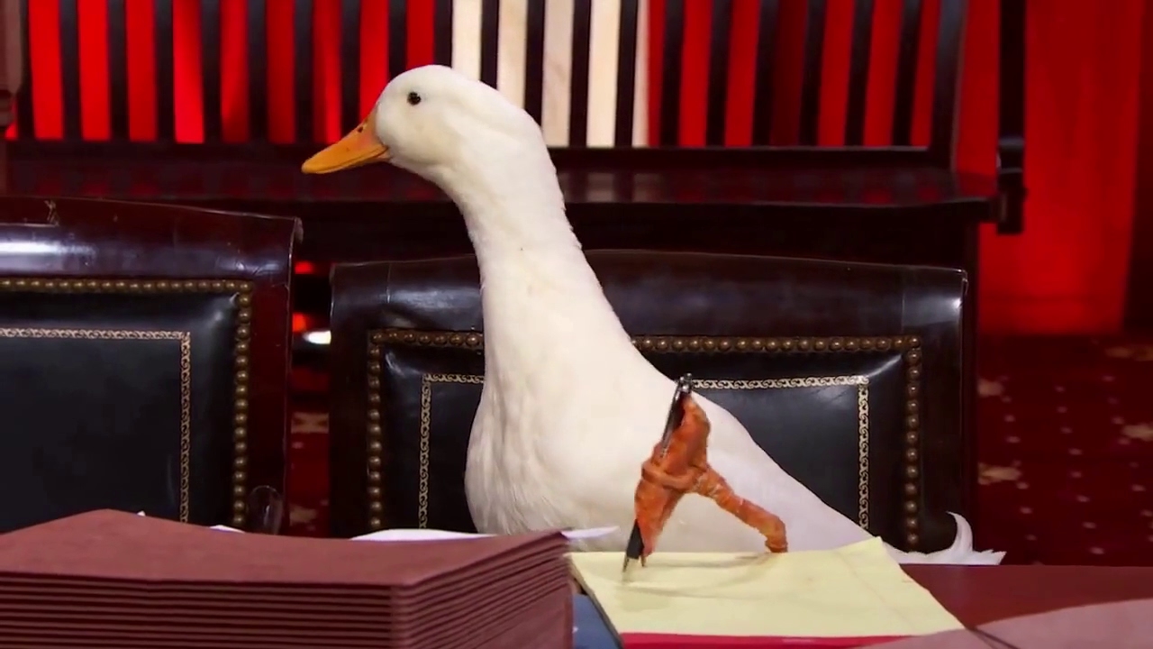 Packingham v. North Carolina: Oral Argument - February 27, 2017