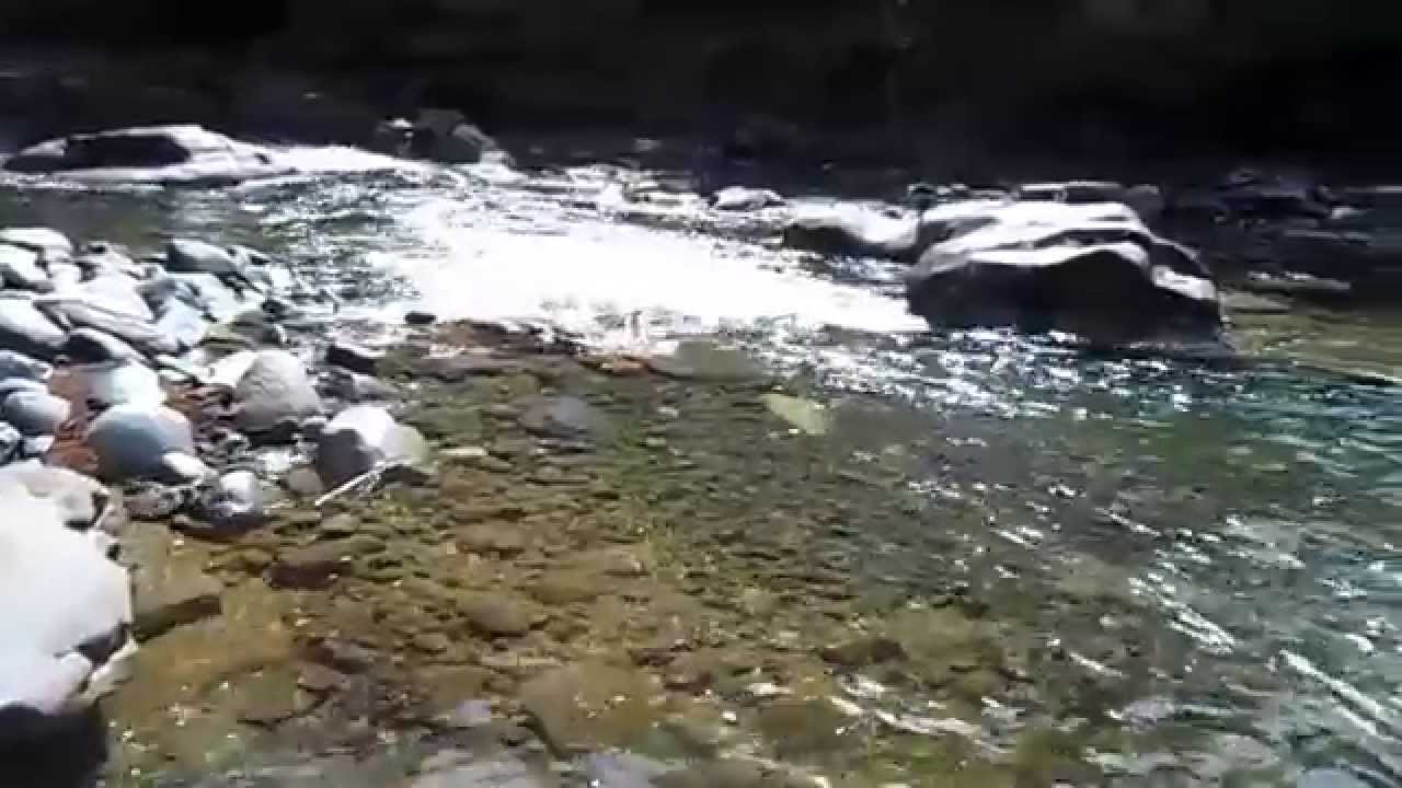 The Oyster river on Vancouver island