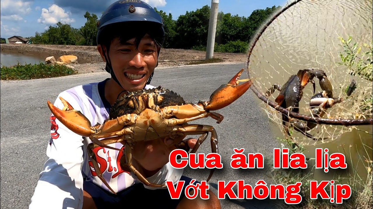 Cắm Câu Cua ăn không kịp vớt hai vợ chồng bội thu đầy cả bao | GĐCG 