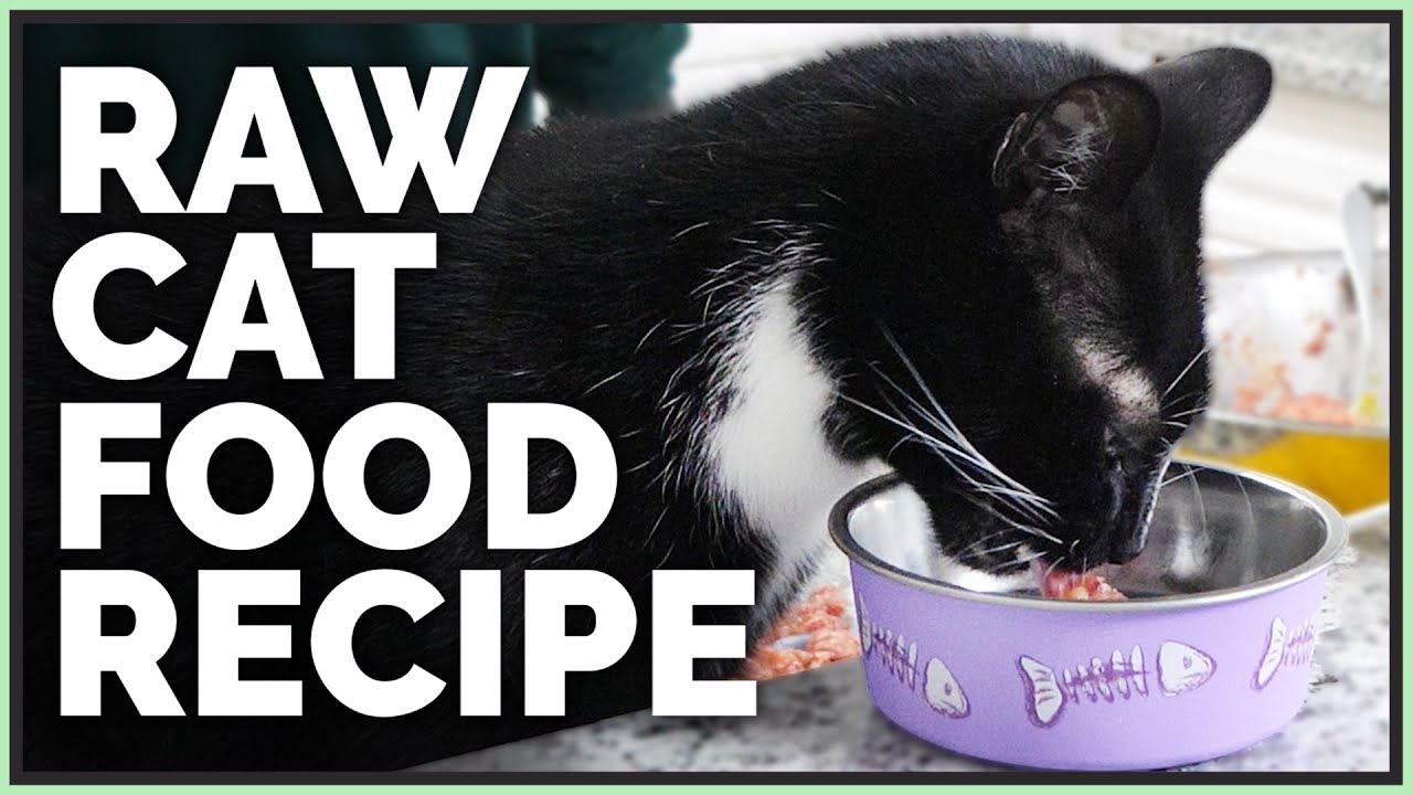 How I Make Organic Raw Cat Food