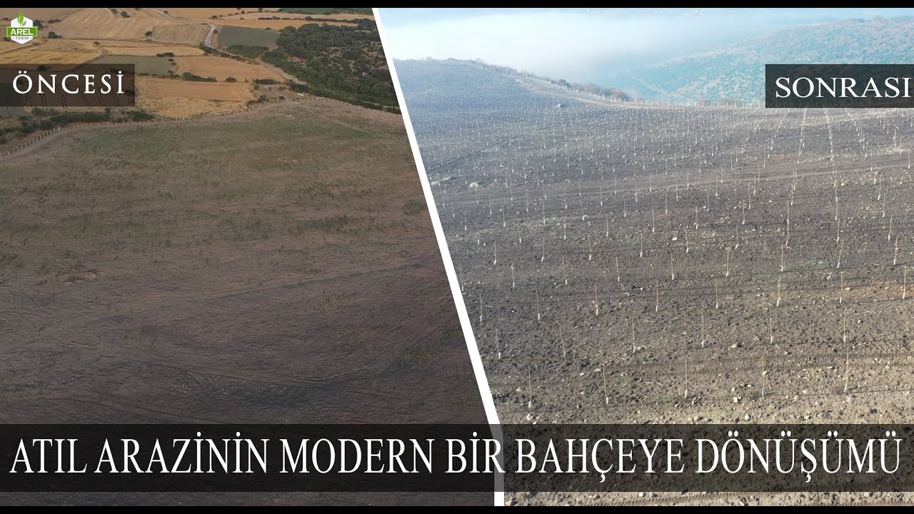 ANAHTAR TESLİM CEVİZ BAHÇESİ KURULUMU NASIL OLUR?
