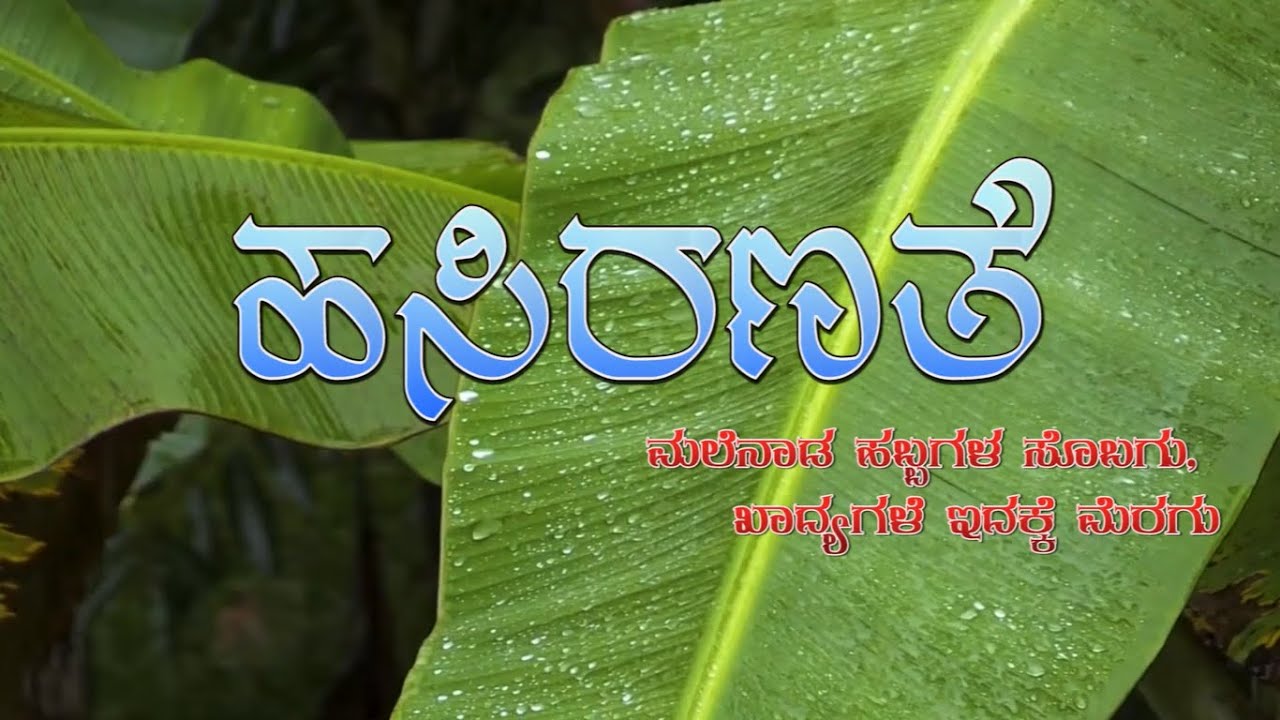 Malnad  Foods and Festivals