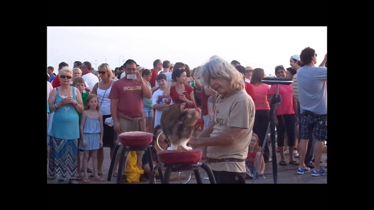 Crazy Cat Man of Key West Mallory Square Sunset Celebration 04-01-13