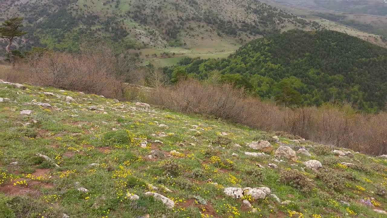 Sarıören Köyü