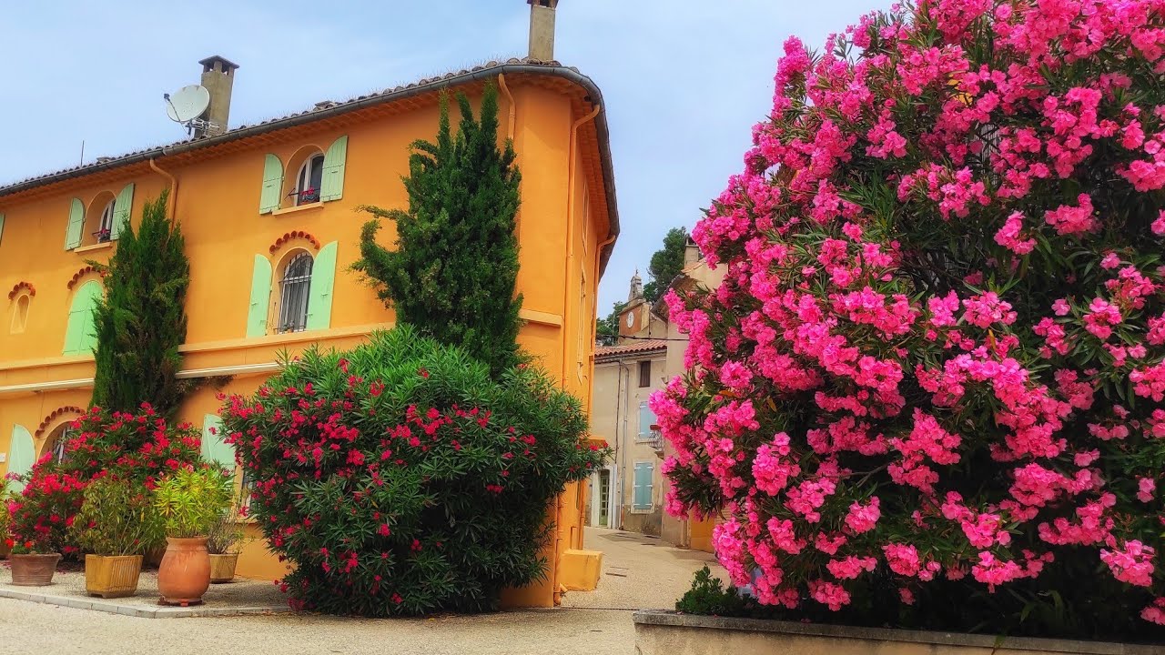 Rasteau #vaucluse #provence #france